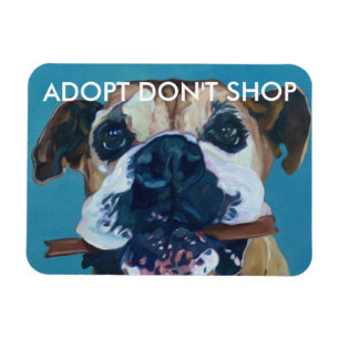 ADOPT SHOPPAR INTE bilmagneten Magnet