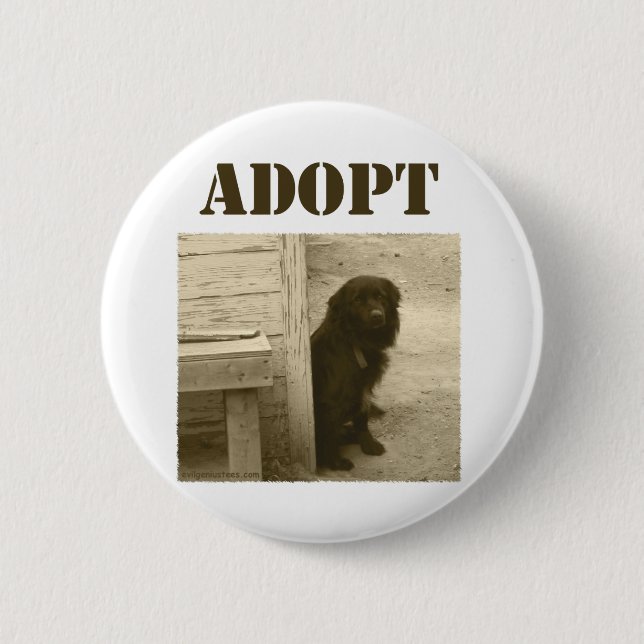 Adoptera den tillfälliga hunden knapp (Framsida)