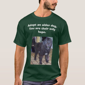 adoptera en äldre hund, monty. Du är… Tee