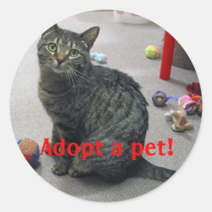 Adoptera en älsklings- klistermärke