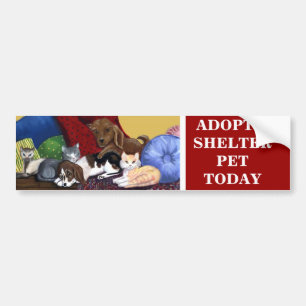 ADOPTERA en bildekal för SKYDDHUSDJUR I DAG