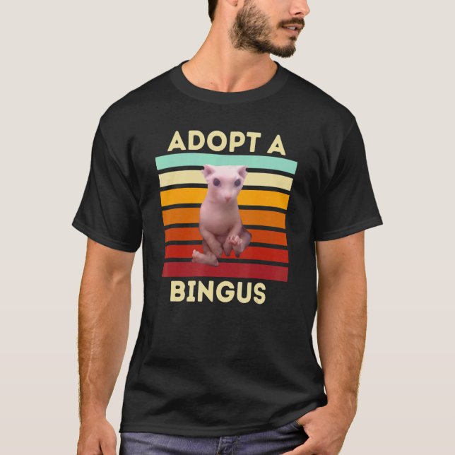 Adoptera en Bingus  Hårlös Sphynx Katt T Shirt (Framsida)