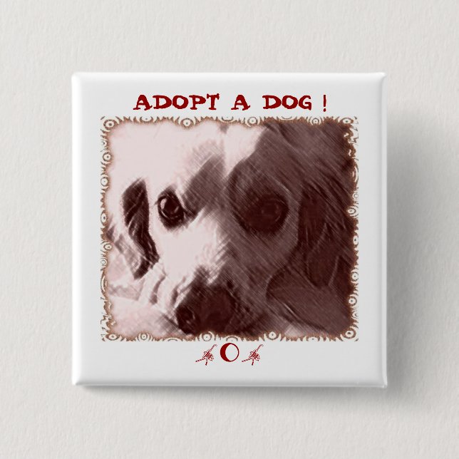 Adoptera en hund knäppas knapp (Framsida)