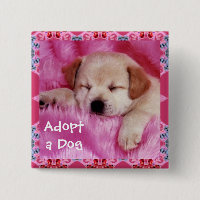 Adoptera en hund knäppas