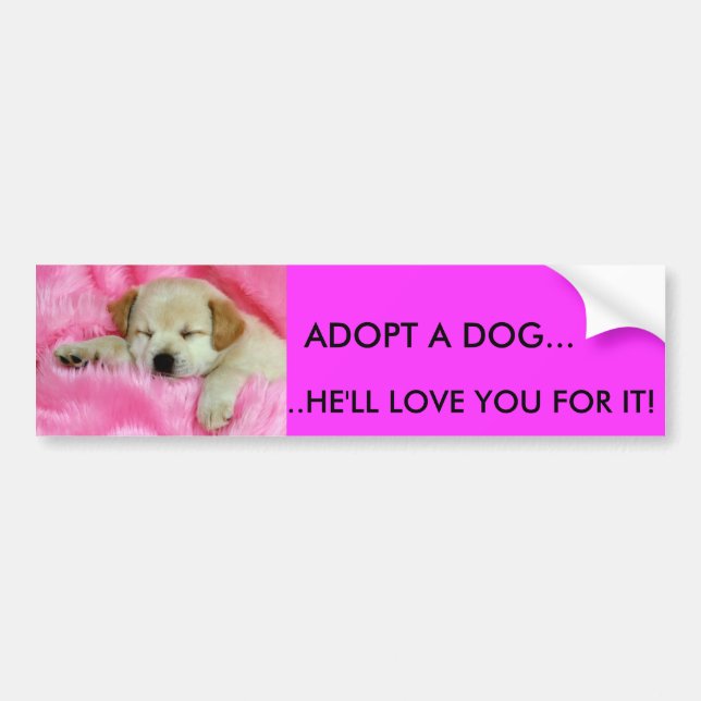 ADOPTERA EN HUNDBILDEKAL BILDEKAL (Framsidan)