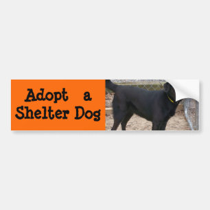 Adoptera en hundbildekal bildekal
