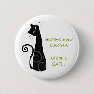Adoptera en katt knapp