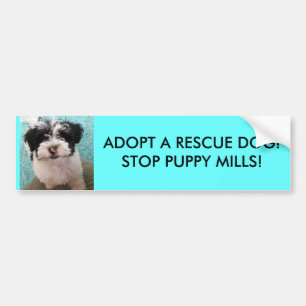 ADOPTERA EN RÄDDINGHUND! STOPPVALPEN MAL! BILDEKAL