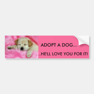 ADOPTERA en skräddarsy HUNDBILDEKAL - Bildekal