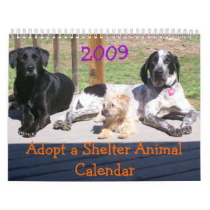 Adoptera en skydddjurkalender kalender