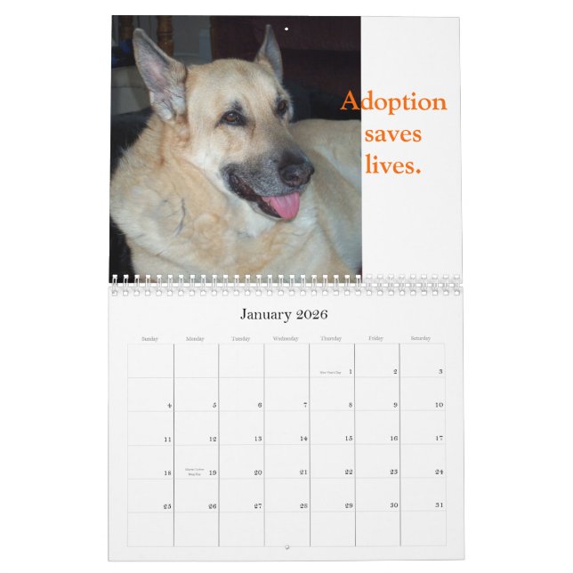 Adoptera en skydddjurkalender kalender (Jan 2026)