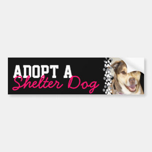 Adoptera en skyddhund bildekal