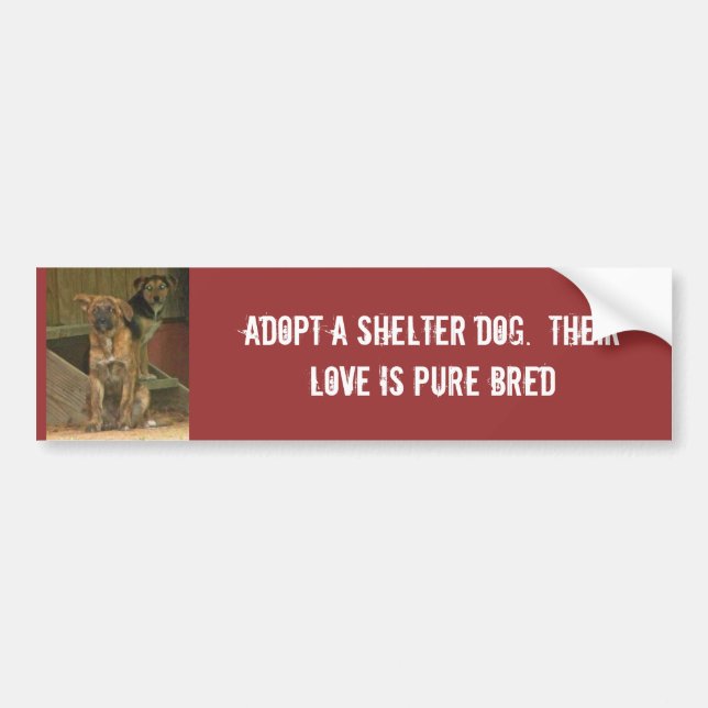 Adoptera en skyddhund.  Deras kärlek är ren Bildekal (Framsidan)