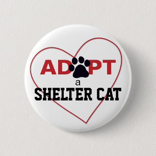 Adoptera en skyddkatt knapp