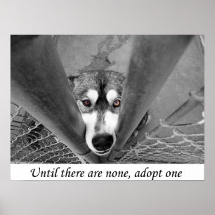 Adoptera en, tills det finns inga, poster