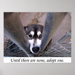 Adoptera en, tills det finns inga, (vattenfärgen) poster