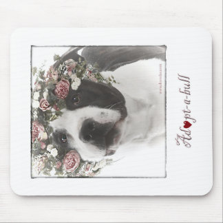 Adoptera-en-tjuren musen vadderar musmatta