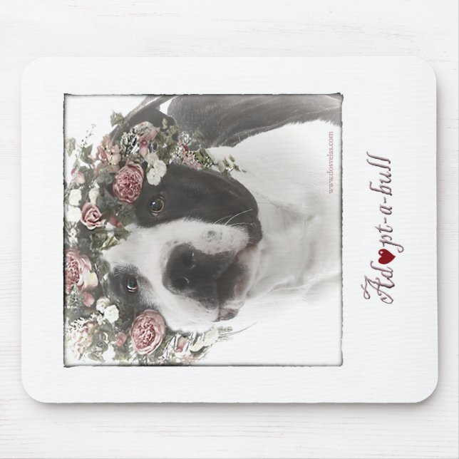 Adoptera-en-tjuren musen vadderar musmatta (Framsidan)