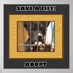 Adoptera en valpaffisch poster