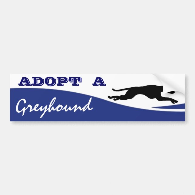 Adoptera en vinthundhund bildekal (Framsidan)
