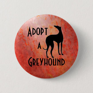 Adoptera en vinthundhund knapp