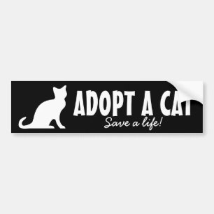 Adoptera ett djurskydd för kattbildekal bildekal