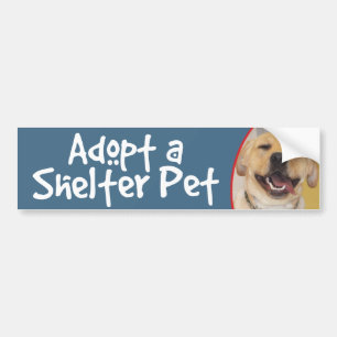 Adoptera ett gul lab skyddhusdjur bildekal