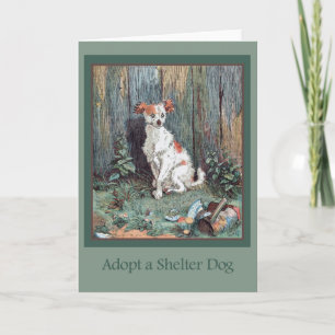Adoptera ett skyddhundkort kort