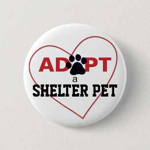 Adoptera ett skyddhusdjur knapp
