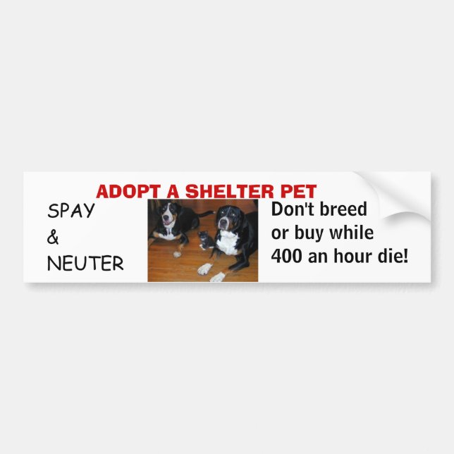 ADOPTERA ett SKYDDHUSDJUR, spay neutrat Bildekal (Framsidan)