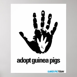Adoptera försökskaninaffischen - försökskanin poster