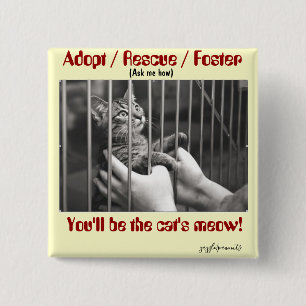 Adoptera, rädda, fostra knapp