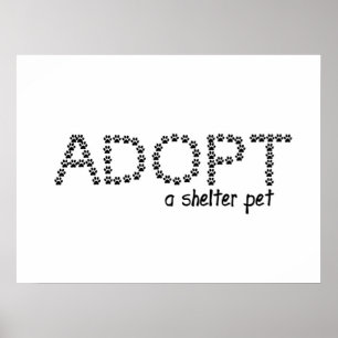 Adoptera tassar för ett skyddhusdjur poster