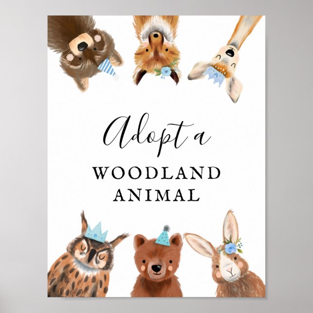Adoption Center | Födelsedagsfest av Boy Woodland Poster (Framsidan)