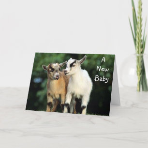 ADOPTION - INGEN KIDDANDE GRATTIS! KORT