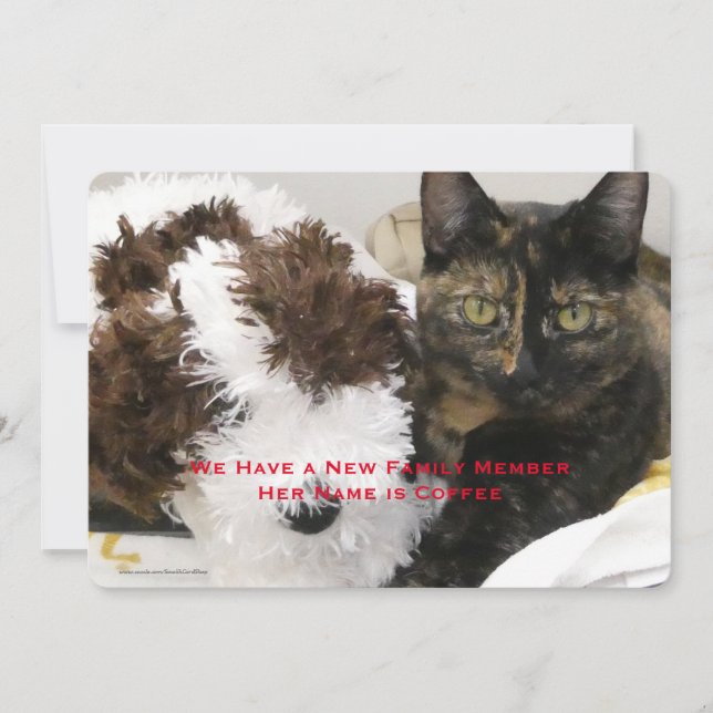 Adoption of Pet Cat, Namn, Ditt foto, Meddelande (Framsida)