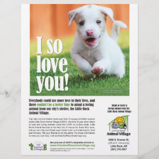 Adoption Poster - lilla byn Sten djur Reklamblad