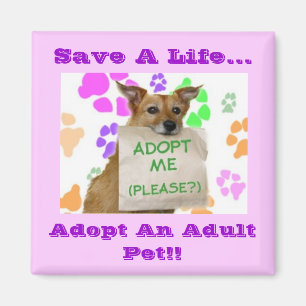 Adoptme sparar ett liv…, adopterar ett vuxet magnet