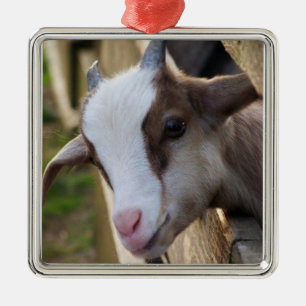 * ADORABEL GETTER FÖR CHRISTMAS * JULGRANSPRYDNAD METALL