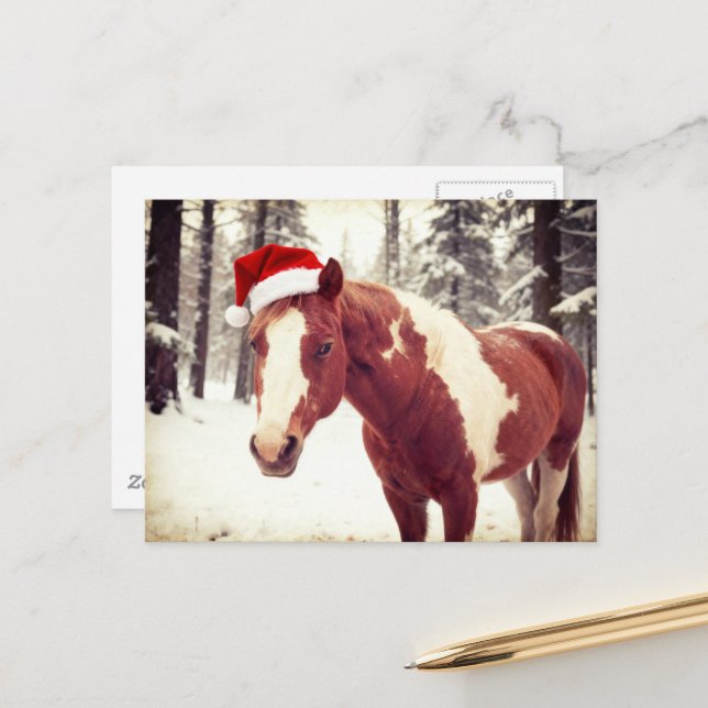 Adorable and Cute Christmas Paint Horse Vykort (Fram/Back In Situ)