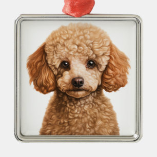 ADORABLE APRICOT FRANSK PUDEL PUPPY HUND JULGRANSPRYDNAD METALL