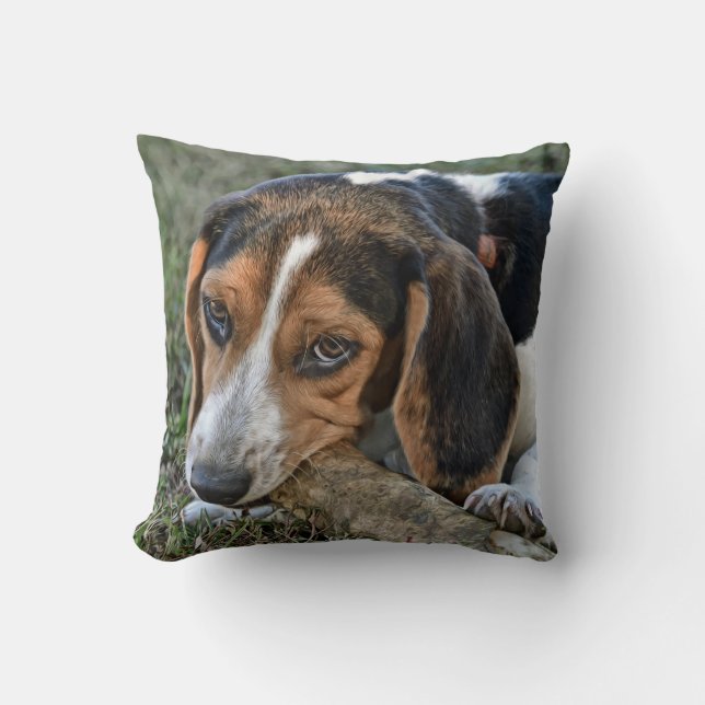 Adorable Beagle Chewing A Bone Kudde (Framsida)
