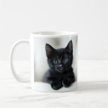 Adorable Black Kitten with Striking Blue Eyes Port