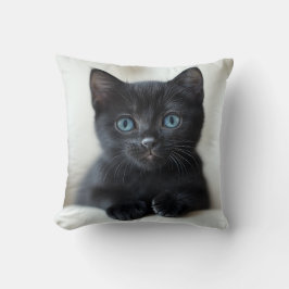 Adorable Black Kitten with Striking Blue Eyes Port Kudde
