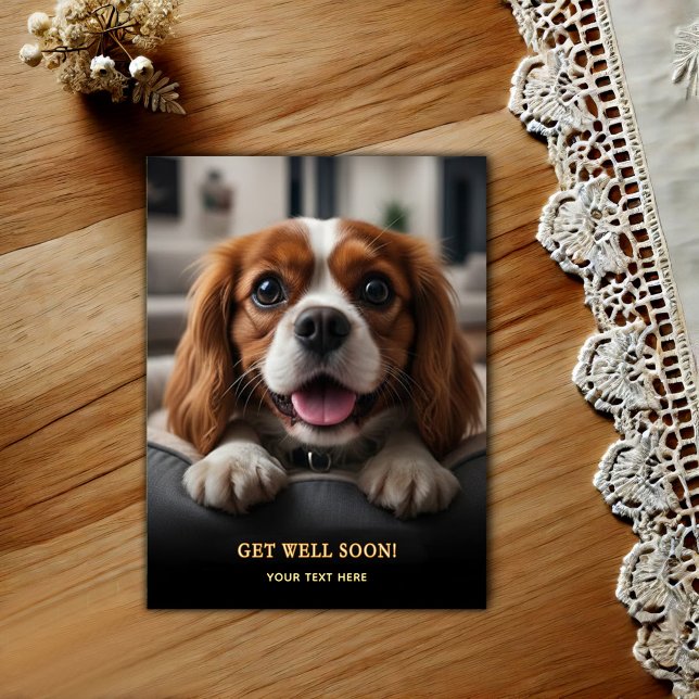 Adorable Cavalier King Charles Spaniel Get Well  Vykort (Skapare uppladdad)