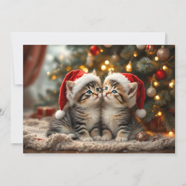 Adorable Christmas kitten with Santa hats  Julkort (Framsida)