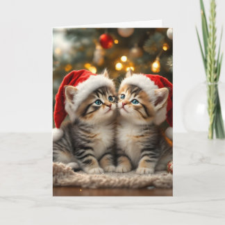 Adorable Christmas kitten with Santa hats  Kort