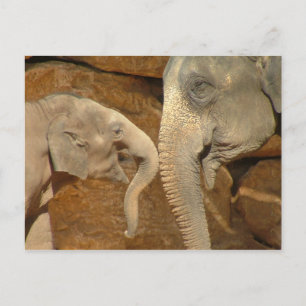 ADORABLE ELEPHANS VYKORT
