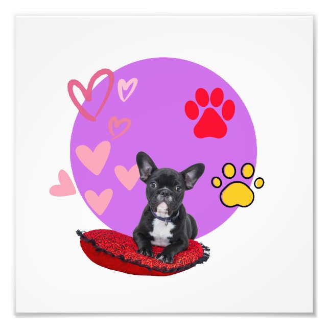 Adorable frienchie puppy  with hearts fototryck (Framsidan)
