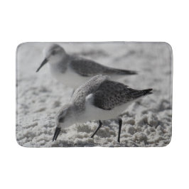 adorable grey and white wildlife photo sea gulls badrumsmatta